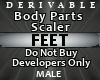 Feet Scale Derive M