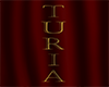 Turian Shield