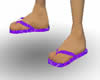 CJ69 Purple Flip Flops