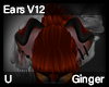 Ginger Ears V12