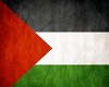 Palestine Background