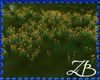 *ZB* Animated  Flowers