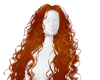 F! Mera Gingy
