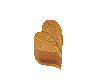 (MSis) Wood Heart 2