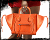 〆 Orange Bag