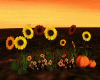 Autumn flowers