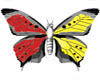 Butterfly (Red & Yellow)