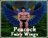 Peacock Fairy Wings