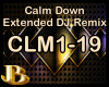 Calm Down DJ Remix