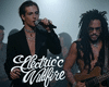 Electic Wildfire