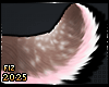 . Adora | Tail