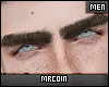 🔻Kurt Eyebrow MH