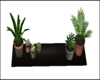 Small Plant Shelf