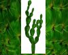 JR REAL Prickly Cactus