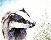 Badger wants Honey