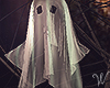 Halloween Porch Ghost