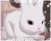 $K Bunny Pet Animated