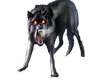~in_fur_iated~