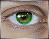 Eyes GREEN unisex (M)