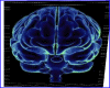 SM Blue Brain Picture