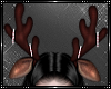 [AW] Holiday Horns