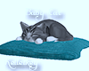 Sleepying cat on pillow