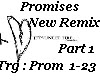 Promises New Remix P#1