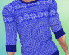 Blue Winter Sweater