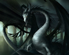 Shadow Dragon