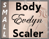 Body Scaler Evelyn S