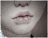 ☆n. snake bites