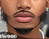 COOL ASTERI BEARD