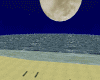Beach Moonlit