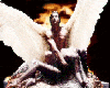 angelsfallen