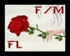{FL}Rose in hand F/M