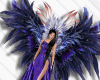 Blue Feather Animated