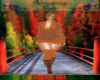 (MN)ORANGE FALL