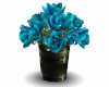 Romantic Blue Roses