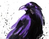 ◘ Crow ◘