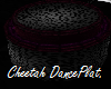 F | Cheetah DancePlat.