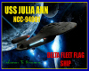 USS JULIA ANN LG POSTER