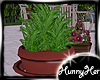 Outdoor Potted Plant V2