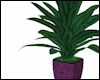 Serenity Plant V2 ~