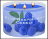 Blue Raspberries Candle