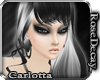 rd| Gunmetal Carlotta