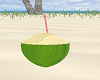 COCONUT DRINK