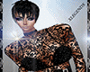 [SLIM]* {LGD} Modeling~~