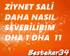 Ziynet Sali