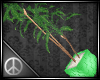 ☮ | Green Plant