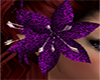 Dark purple hair lilly